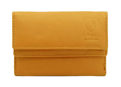 LS06(N) Yellow_