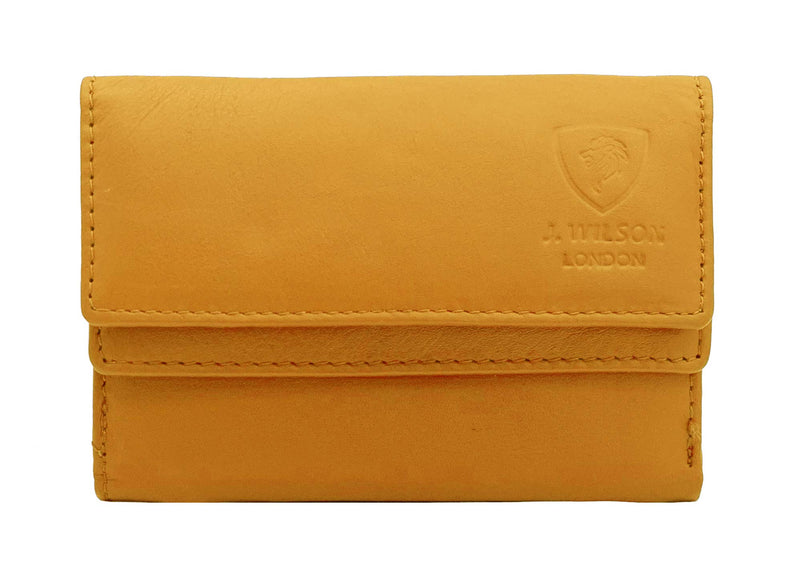 LS06(N) Yellow_